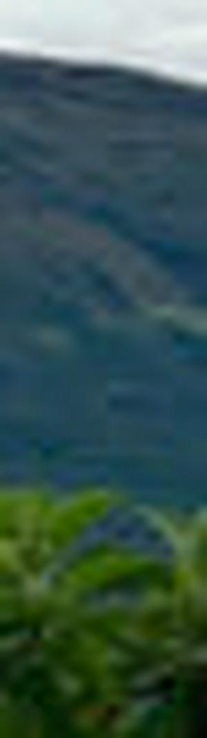 imagen nota inferior