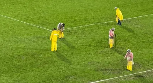 Comunicado de Acolfutpro sobre mal estado de El Campín hoy: exige a Sencia S.A