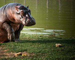 imagen nota inferior