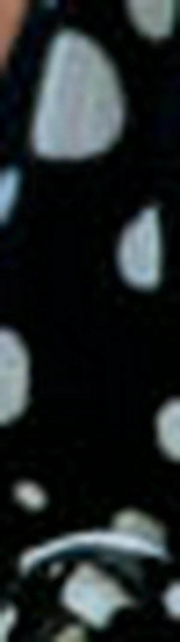 88% de los latinoamericanos recibieron llamadas no deseadas y el 11% fueron intentos de fraude