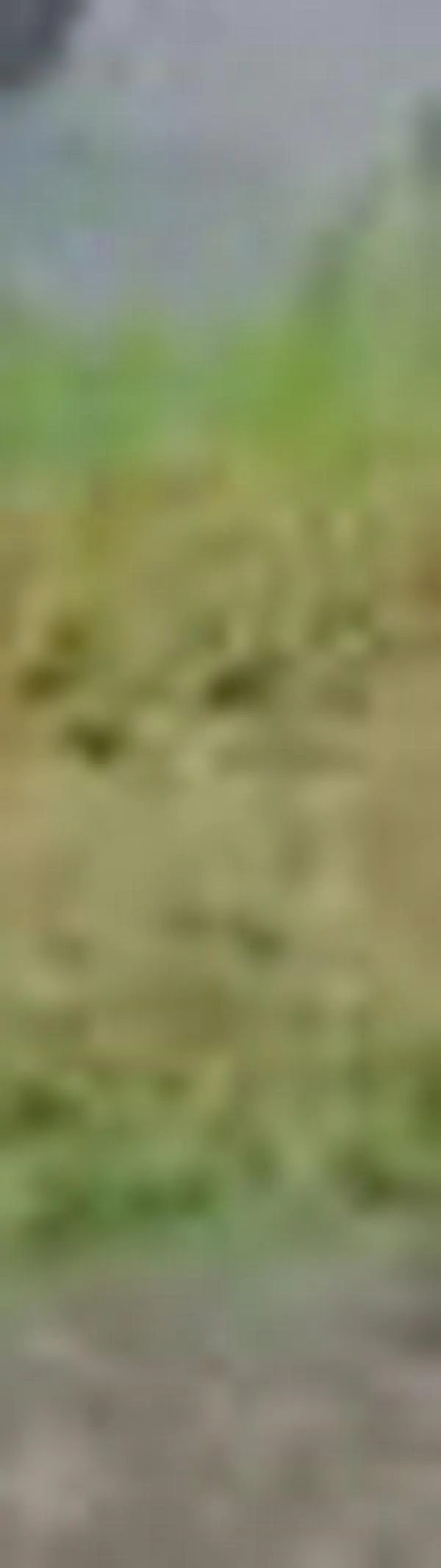 Un carro cayó dentro de un canal de aguas en Cali y dejó una persona herida