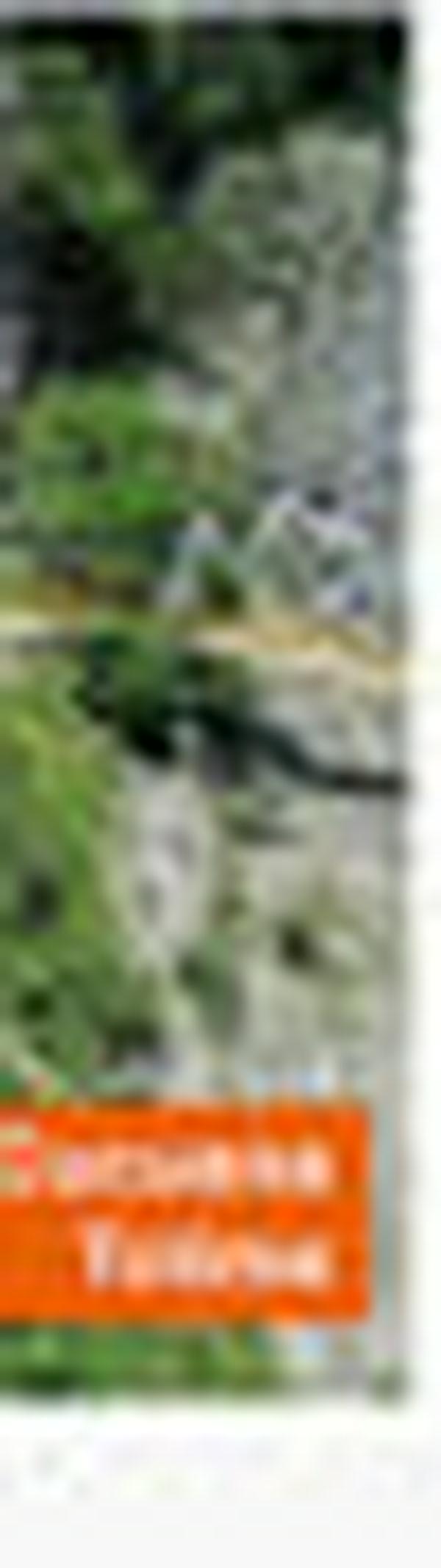 imagen principal home