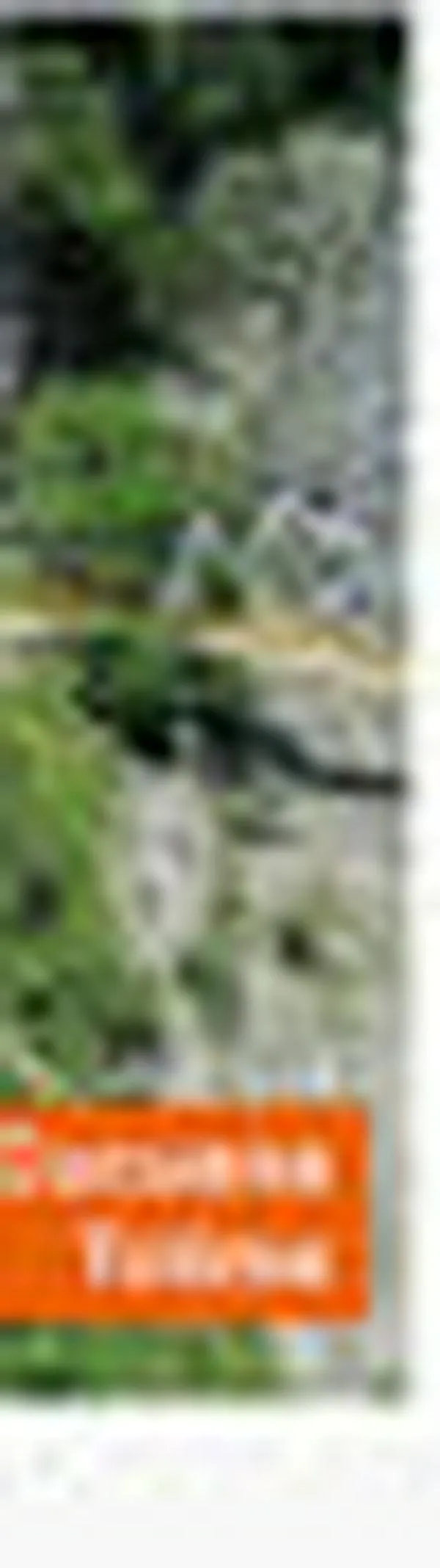 Celsia inyecta más de $50.000 millones a las regiones