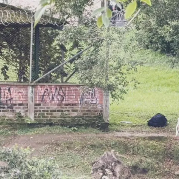 Del Tolima era el hombre que se quitó la vida en el barrio La Fachada