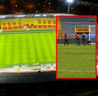 Estado grama Estadio El Campín: Video denuncia supuesto engaño en mantenimiento
