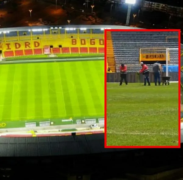 Estado grama Estadio El Campín: Video denuncia supuesto engaño en mantenimiento