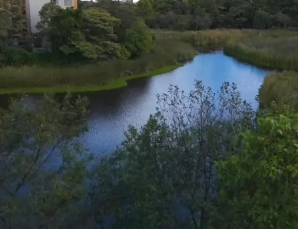 Humedal Santa María del Lago: biodiversidad y memoria en el corazón de Bogotá 