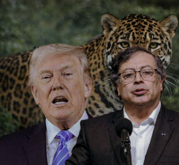 imagen principal home