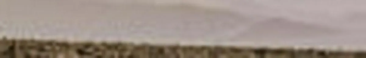 Imagen representativa del artículo