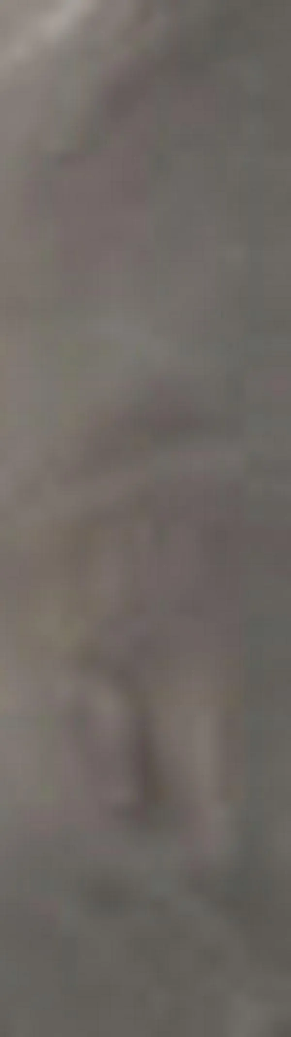 Ritmos circadianos y cáncer de pulmón