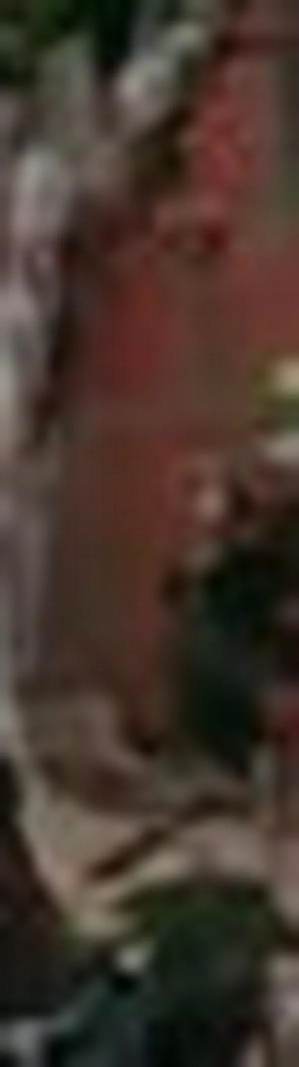 Explota volqueta bomba en zona rural de Caloto sin dejar heridos: Ejército mantiene control territorial