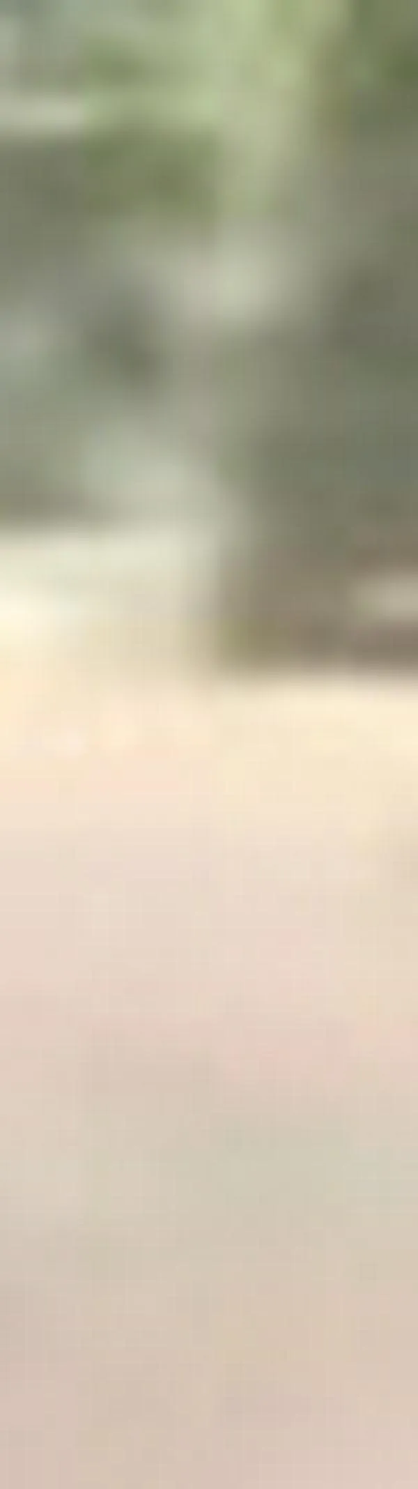 Encontraron en Jamundí “niñeras” robadas