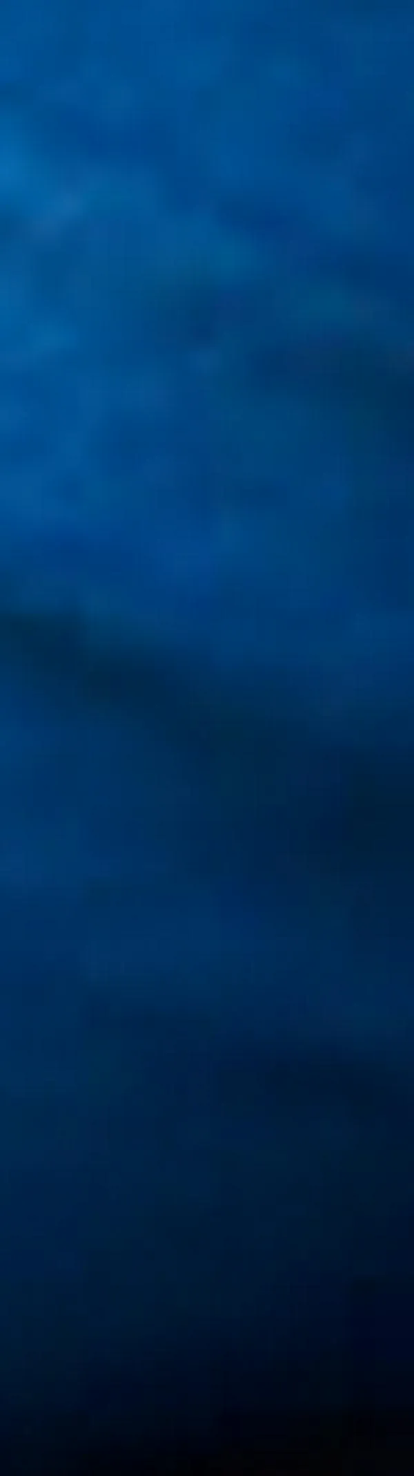 Proyecto de ley propone que el Soat cubra atención veterinaria para animales atropellados