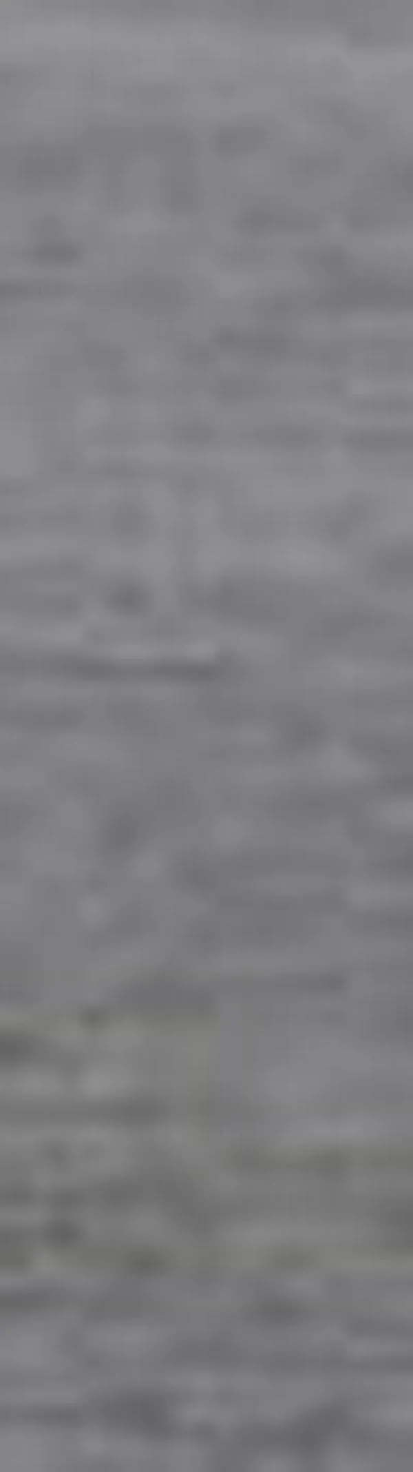 Avanza planeación de dragado en Buenaventura