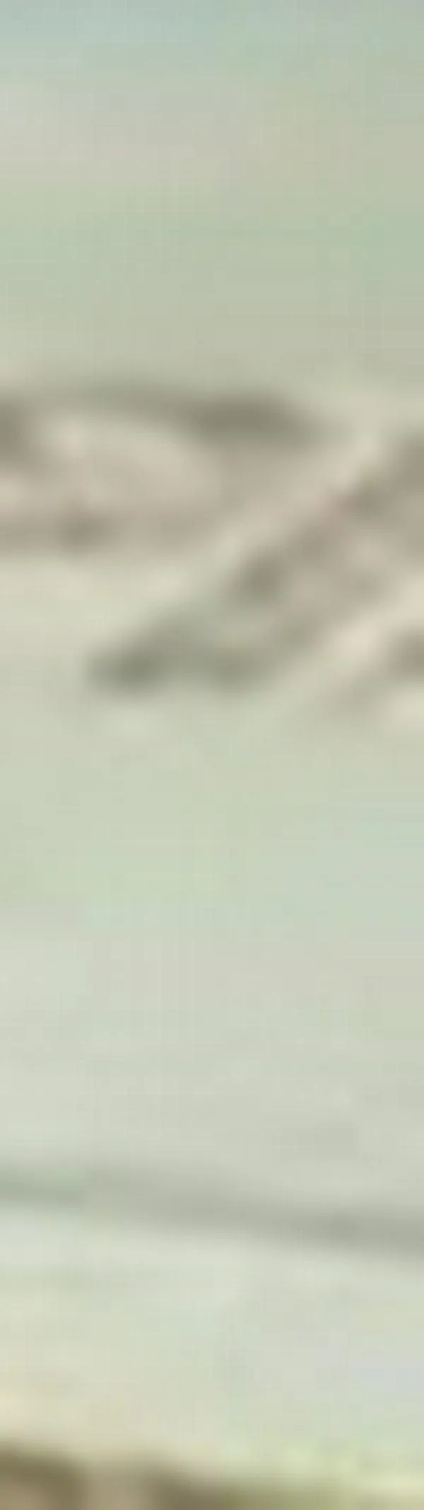 MOE alerta de riesgo electoral en 170 municipios