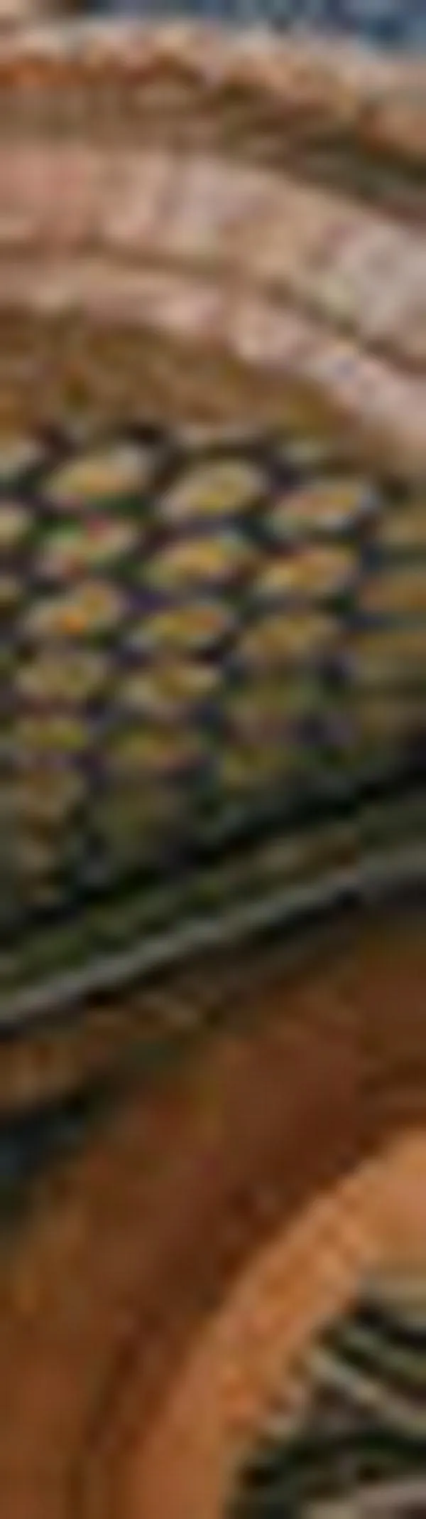 España impulsa un plan migratorio