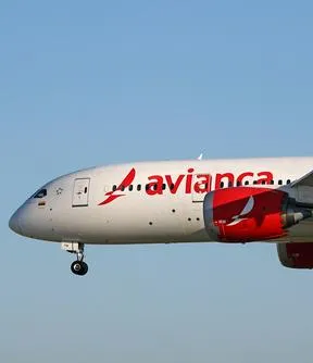 Imagen representativa del artículo