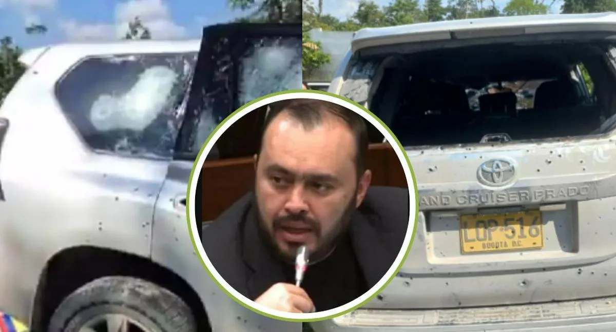 Imagen representativa del artículo