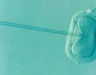 Francia: carta a los franceses de 29 años para luchar contra la infertilidad