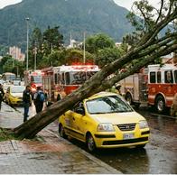 Árbol cayó sobre taxi que llevaba a mujer a entrevista de trabajo en Bogotá