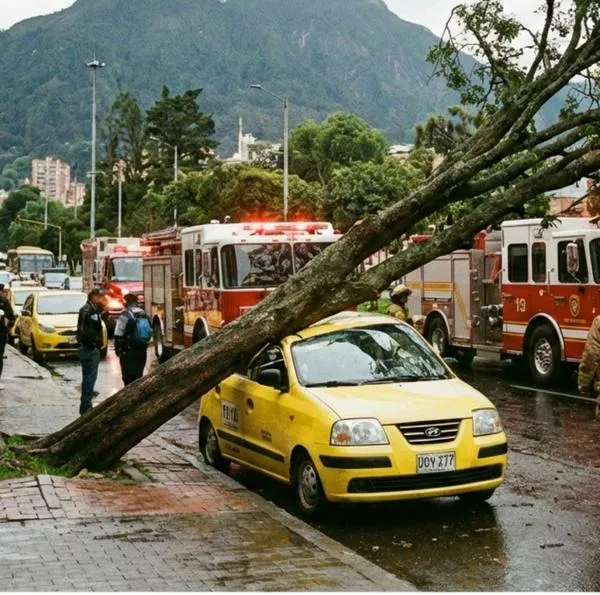 Árbol cayó sobre taxi que llevaba a mujer a entrevista de trabajo en Bogotá