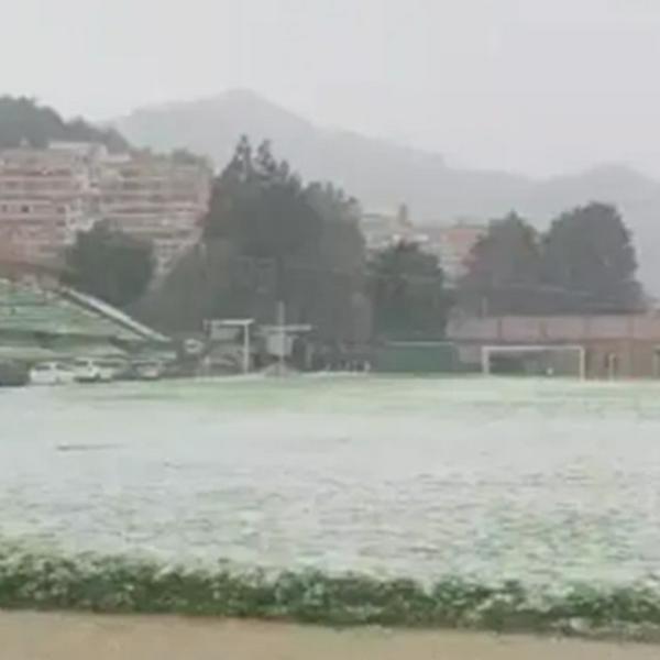 imagen principal home