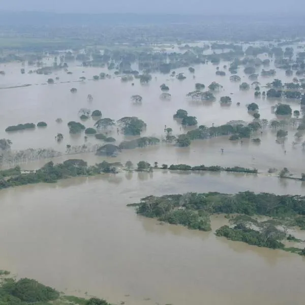 imagen principal home