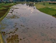 Luego de años de inundaciones, el río Bogotá resiste el pico de lluvias gracias a obras de control hidráulico 