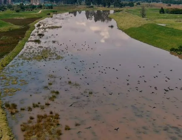 Luego de años de inundaciones, el río Bogotá resiste el pico de lluvias gracias a obras de control hidráulico 