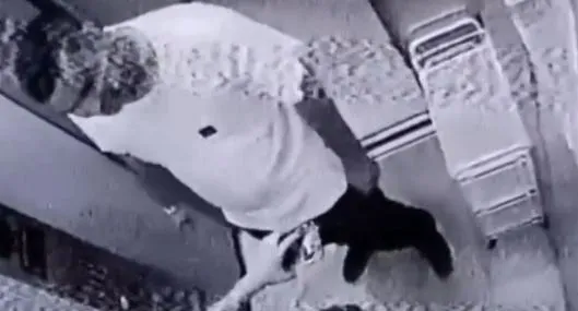 Brutal agresión de un hombre a su pareja en un ascensor la deja inconsciente