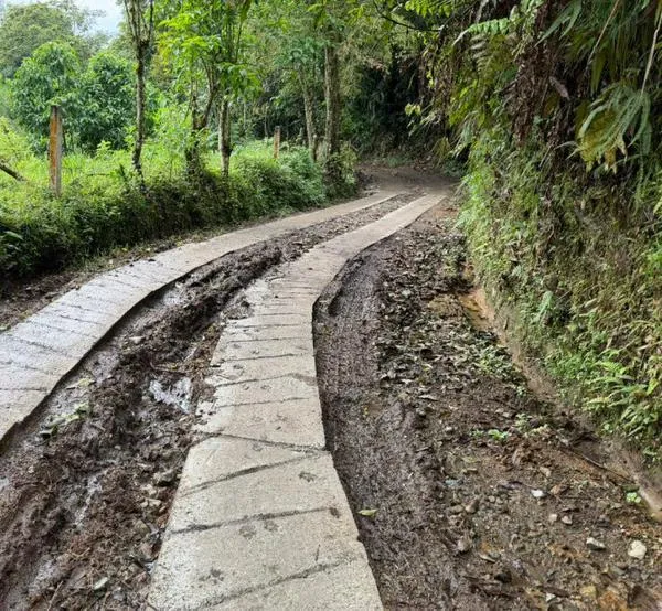 Comunidades de un municipio turístico del Eje Cafetero construyen placa huella en tres veredas