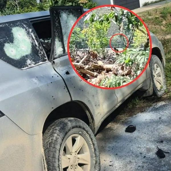 imagen principal home