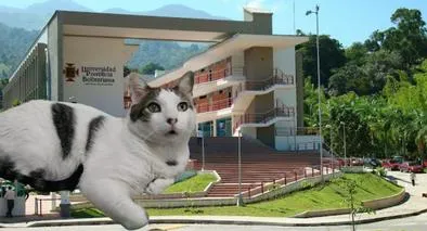 Gato se graduó con honores de Universidad Pontificia Bolivariana en Medellín 
