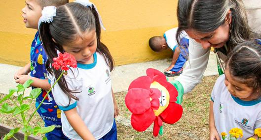 Alt text for image 4