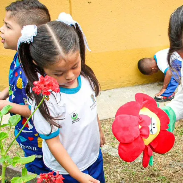 Niños de Medellín se convierten en guardianes del medio ambiente