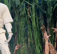 La historia detrás de algunos instrumentos boricuas que Bad Bunny resaltó en el Super Bowl