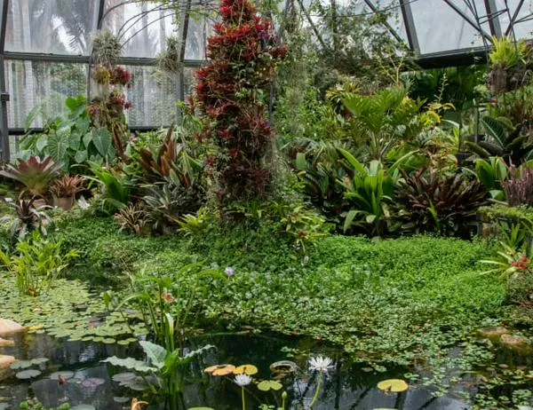 Los espacios verdes de Bogotá no son basureros: un llamado al cuidado de la vida urbana 