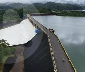 Imagen representativa del artículo