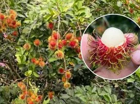 Imagen representativa del artículo