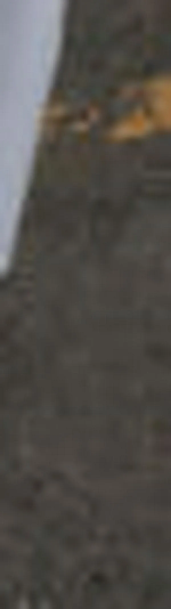 Armas de fuego en Cali: 151 decomisos y 136 capturas en 45 días  del 2026 tras operativos