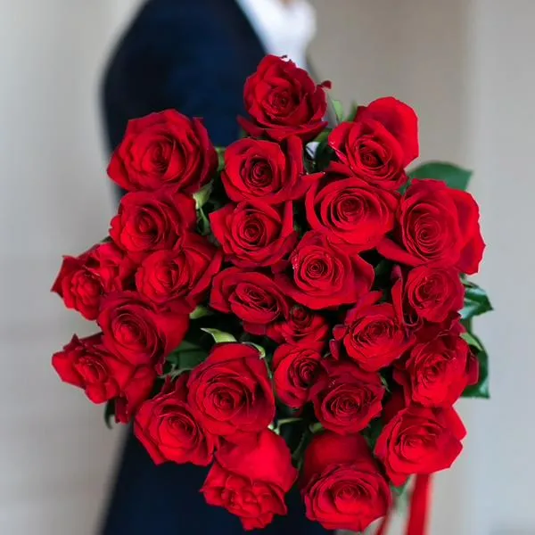 imagen principal home