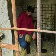 Por qué Gustavo Petro estuvo en calabozos de Gorgona: revela su plan y qué hizo