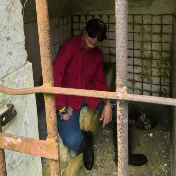 imagen principal home