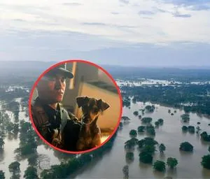 imagen nota inferior