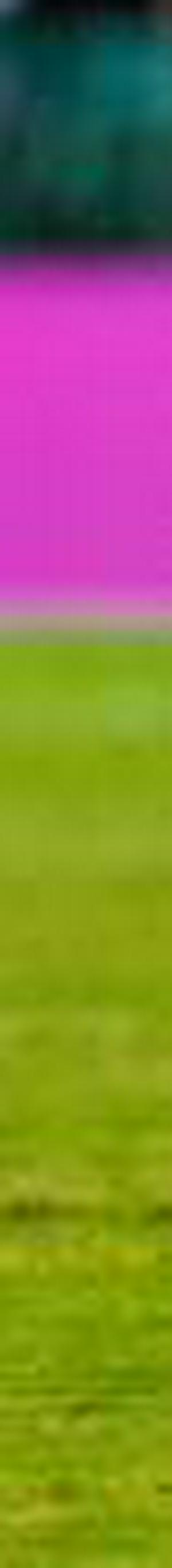 imagen nota inferior