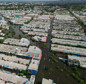 Imagen representativa del artículo