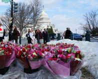 Colombia regala flores por San Valentín en Washington como símbolo de alianza con Estados Unidos