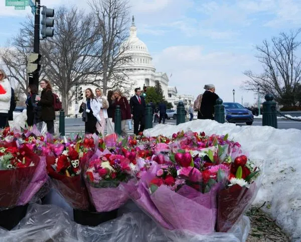 Colombia regala flores por San Valentín en Washington como símbolo de alianza con Estados Unidos