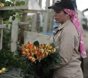 Imagen representativa del artículo