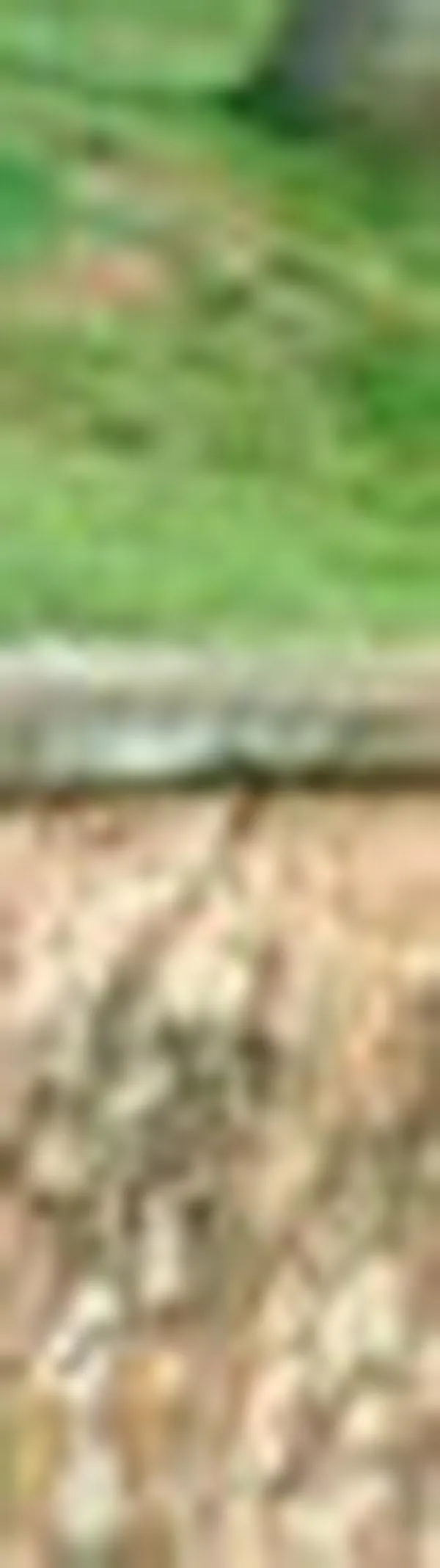 Encuentran otra cabeza humana, esta vez en el río Cali frente al CAM: esto es lo que se sabe del caso